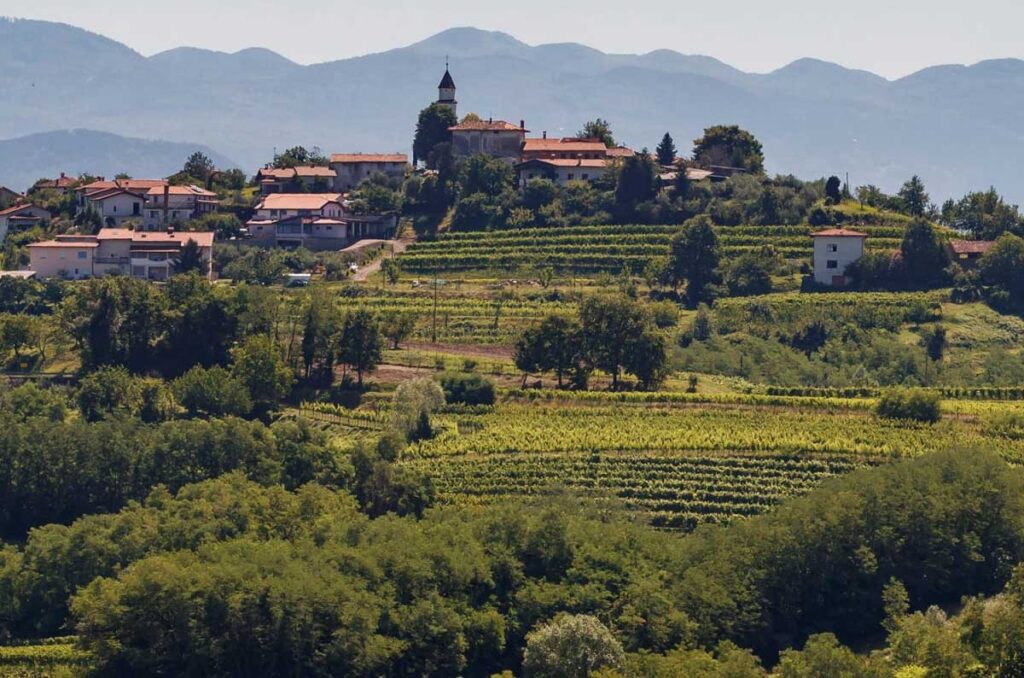 Slovenia is known for its wine production, with a rich history of winemaking dating back to the time of the Celts and Illyrians