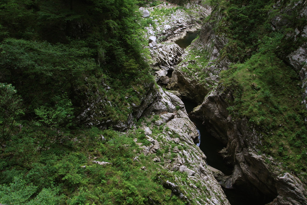 Entrance to Skocjan Caves - Slovenia